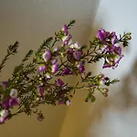 Tabano Ristorante-casolare Alojamento de Acomodação e Pequeno-almoço Iesi
