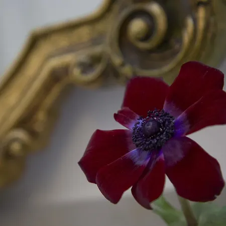 Tabano Ristorante-casolare Bed and breakfast 4*