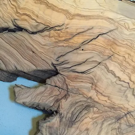 Tabano Ristorante-casolare Iesi