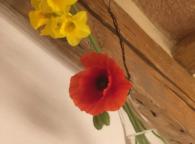 Tabano Ristorante-casolare Jesi