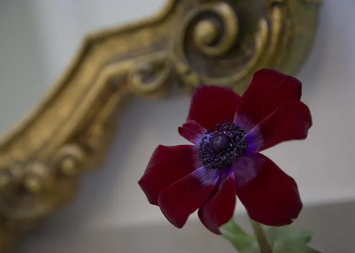 Tabano Ristorante-casolare Bed & Breakfast 4*